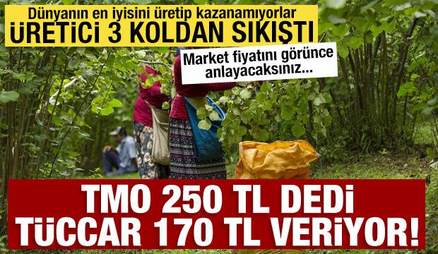 TMO 250 TL dedi, piyasa 170 TL'de kaldı! &Ccedil;ift&ccedil;i fiyat, kokarca ve yağmur arasında sıkışıp kaldı