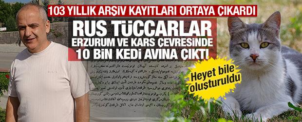 103 yıllık arşiv kayıtları g&ouml;sterdi! Rus t&uuml;ccarlar 10 bin kedinin peşine d&uuml;şt&uuml;ler