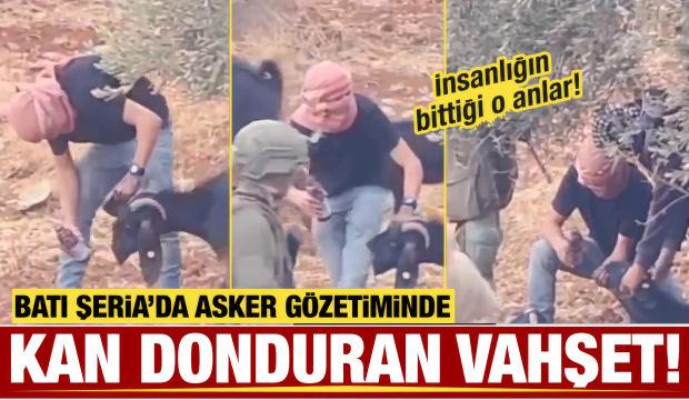 Batı Şeria'da asker g&ouml;zetiminde kan donduran g&ouml;r&uuml;nt&uuml;ler! 