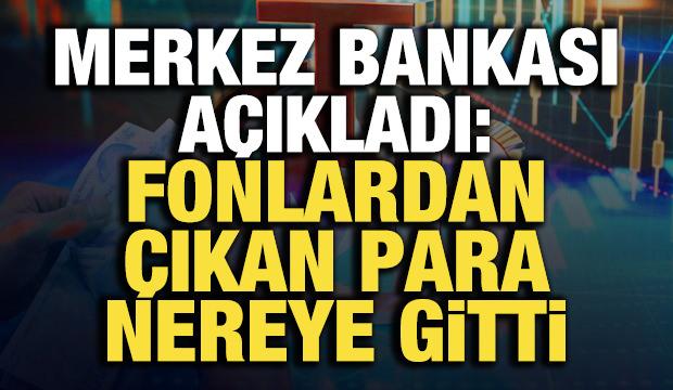 TCMB Başkanı Karahan: Fonlardaki &ccedil;ıkışlar mevduata y&ouml;neldi