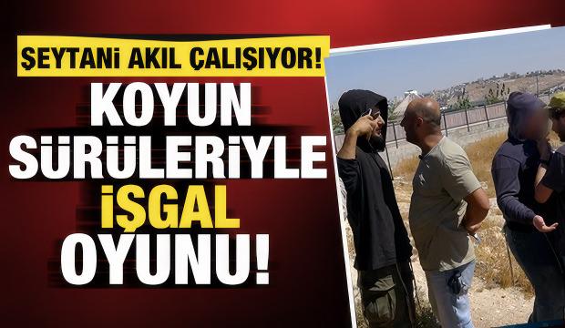 Amerikan medyası siyonist işgalcileri su&ccedil;&uuml;st&uuml; g&ouml;r&uuml;nt&uuml;ledi