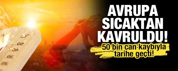 Avrupa sıcaktan kavruldu: 50 bin can kaybıyla tarihe ge&ccedil;ti!