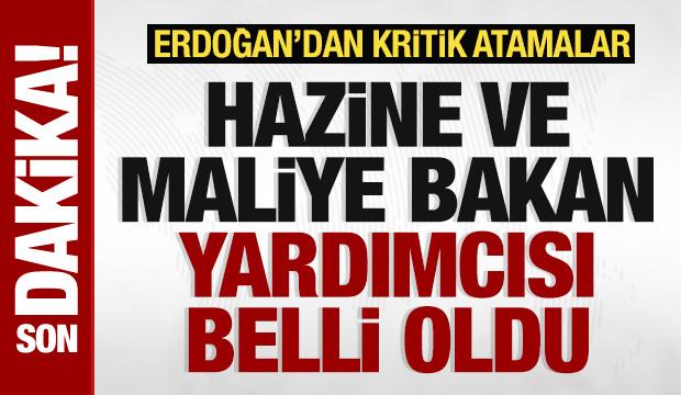 Başkan Erdoğan'dan kritik atamalar! Hazine ve Maliye Bakan Yardımcısı belli oldu