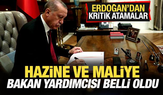 Başkan Erdoğan'dan kritik atamalar! Hazine ve Maliye Bakan Yardımcısı belli oldu