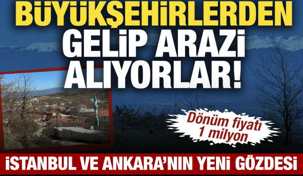 B&uuml;y&uuml;kşehirlerden gelip arazi alıyorlar! D&ouml;n&uuml;m fiyatı 1 milyon TL&rsquo;ye &ccedil;ıktı