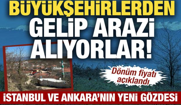 B&uuml;y&uuml;kşehirlerden gelip arazi alıyorlar! D&ouml;n&uuml;m fiyatı 1 milyon TL&rsquo;ye &ccedil;ıktı