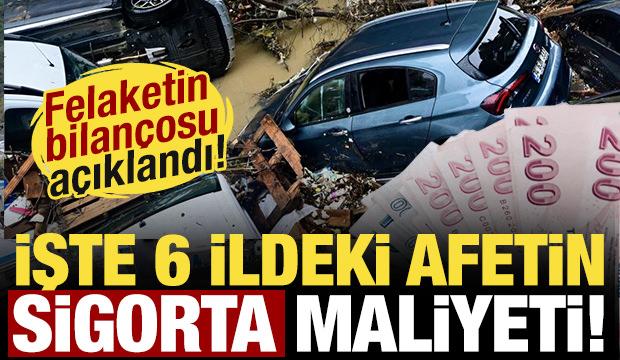 Sel felaketinin bilan&ccedil;osu a&ccedil;ıklandı! İşte 6 ildeki afetin sigorta maliyeti...
