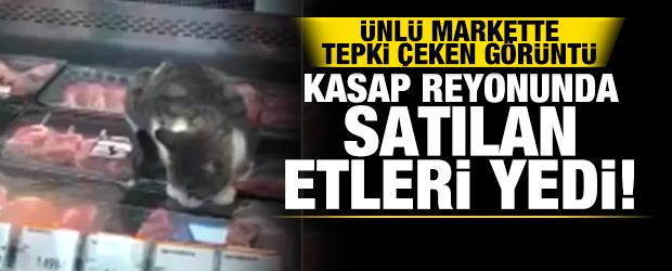 &Uuml;nl&uuml; markette tepki &ccedil;eken g&ouml;r&uuml;nt&uuml;! Sokak kedisi kasap reyonundaki etleri yedi