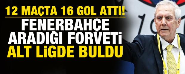 12 ma&ccedil;ta 16 gol attı! Fenerbah&ccedil;e aradığı golc&uuml;y&uuml; alt ligde buldu