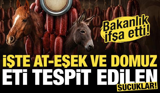 Bakanlık ifşa etti! İşte at, eşek ve domuz eti tespit edilen sucuklar!
