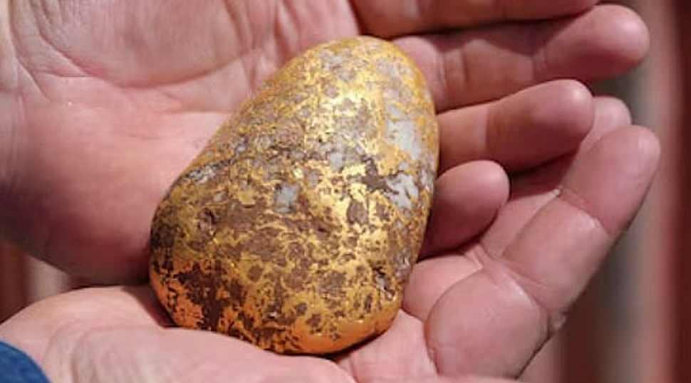 &Ccedil;&uuml;r&uuml;k patates sandı! Topraktan 200 bin dolar &ccedil;ıktı