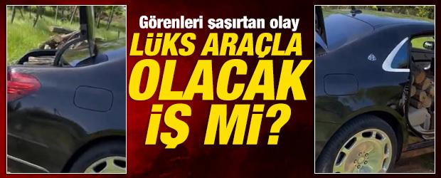 Rusya'da ilgin&ccedil; g&ouml;r&uuml;nt&uuml;: L&uuml;ks otomobiliyle odun taşıdı