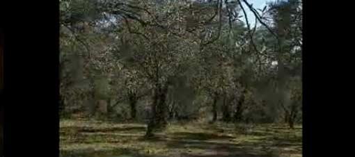 Edremit'i gezmeye hazır mısınız? / Fragman