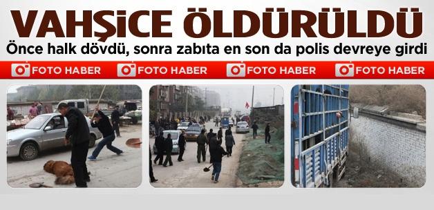 60 kişi bir köpeği böyle katletti