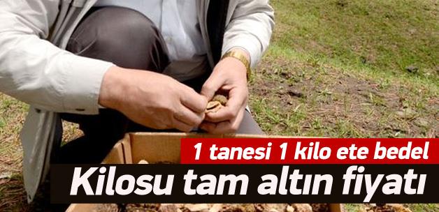 1 Kilo Altin Verdiler Zorla Iade Etti Youtube