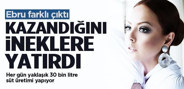 Ebru Gündeş'in 1000 tane ineği var