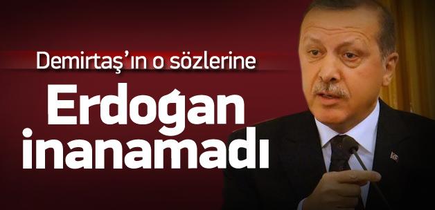 Erdoğan, Demirtaş'ın o sözlerine inanamadı