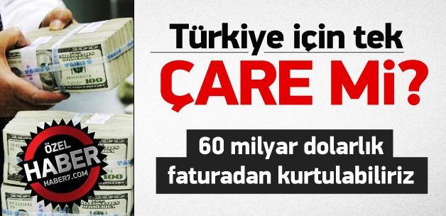 Nükleer santraller tehlike mi, nimet mi?