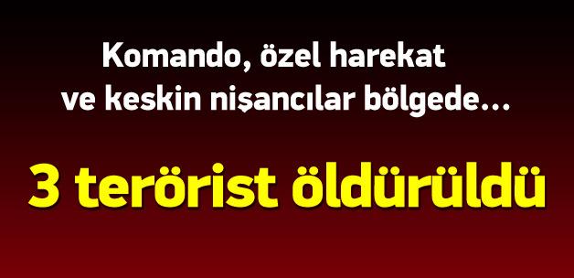 Sur ve Yenişehir'de terör örgütüne operasyon