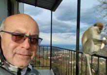 Evinin bah&ccedil;esine bir anda maymun geldi: Giresun'da ilgin&ccedil; anlar!