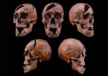 750 yıllık kraliyet entrikası çözüldü!