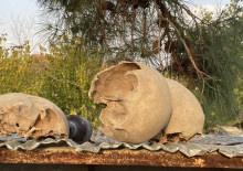 Tüyler ürperten olay! Gerçek ortaya çıktı