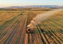 Tarım ÜFE ekimde arttı