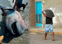 Bilim dünyası için servet değerindeydi! Endemik balık üç dakikada fileto oldu!