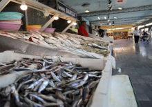 Resmi Gazete'de yayımlandı: 7 balık tescillendi!