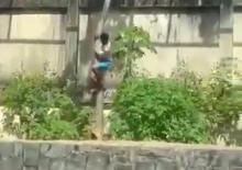 Hayvanat bahçesindeki korkunç anlar: Aslanın bulduğu kafese girdi