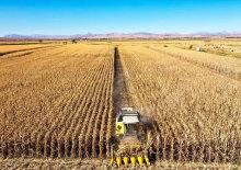 Üreticinin yüzü güldü! Devletten kasım ayında 4,2 milyar liralık hasar desteği