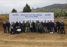 Katılım Emeklilik 10 bin fidanı toprakla buluşturdu