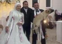 Düğün hediyesi olarak 100 bin liralık köpek hediye etti