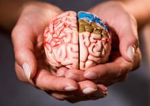 Beyninizi 8 yıl gen&ccedil;leştiriyor! Şartlara sahip olanlar yaşadı