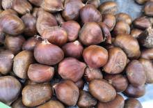 Kış sofralarının vazge&ccedil;ilmezi! Kestane, fiyatıyla y&uuml;zleri g&uuml;ld&uuml;r&uuml;yor