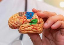 Beyninizi 6 ay birden yaşlandırıyor! Dikkat etmeyen yandı