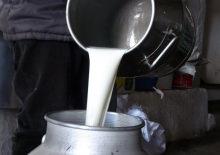 &Ccedil;iğ s&uuml;t fiyatları belli oldu!