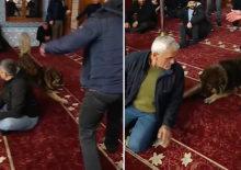 Cuma namazı &ouml;ncesi camiye giren k&ouml;pek şaşkına &ccedil;evirdi