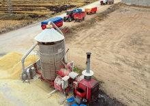 Sinop'ta 9 milyon lira maliyetle &ccedil;eltik kurutma tesisi kurulacak