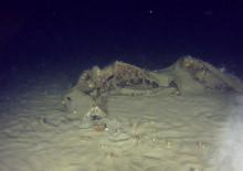 42 kişi hayatını kaybetmişti! D&uuml;şen THY u&ccedil;ağında yeni gelişme