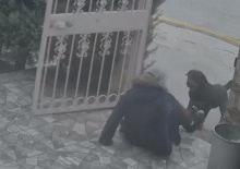 Ankara'da dehşet anları! Başıboş k&ouml;peklerin saldırdığı kadın yaralandı