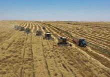 Yem sanayicilerinden yeni karar! Fiyatlar sabit kalacak