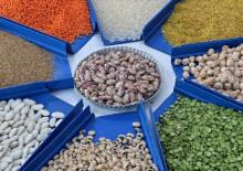 Tarım, gıda ve i&ccedil;ecek sekt&ouml;r&uuml;nden 2025'te 27,79 milyar dolarlık ihracat