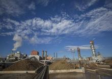 Kayseri Şeker'den &uuml;reticilere 11 milyar lira &ouml;deme