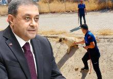 Vali resmen duyurdu! Bir b&uuml;y&uuml;kşehrimizde tek bir sokak k&ouml;peği dahi kalmadı