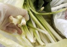 Ağzına alır almaz fenalaştı: Pazı diyerek aldığı ot zehirli &ccedil;ıktı 