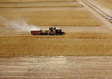 &Ccedil;ift&ccedil;ilere 149,6 milyon liralık tarımsal destekleme &ouml;demesi bug&uuml;n yapılıyor