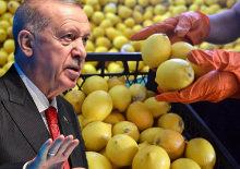 Limon fiyatları 100 lirayı aşmıştı! Cumhurbaşkanı Erdoğan devreye girdi