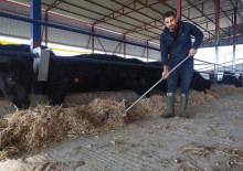 M&uuml;hendisliği bırakıp hayvancılığa başladı! Pişmanlık s&ouml;zleri dikkat &ccedil;ekti