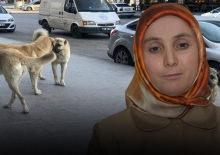 Kurusıkı silah nedeniyle 2 farklı işten &ccedil;ıkarıldığını iddia etti 